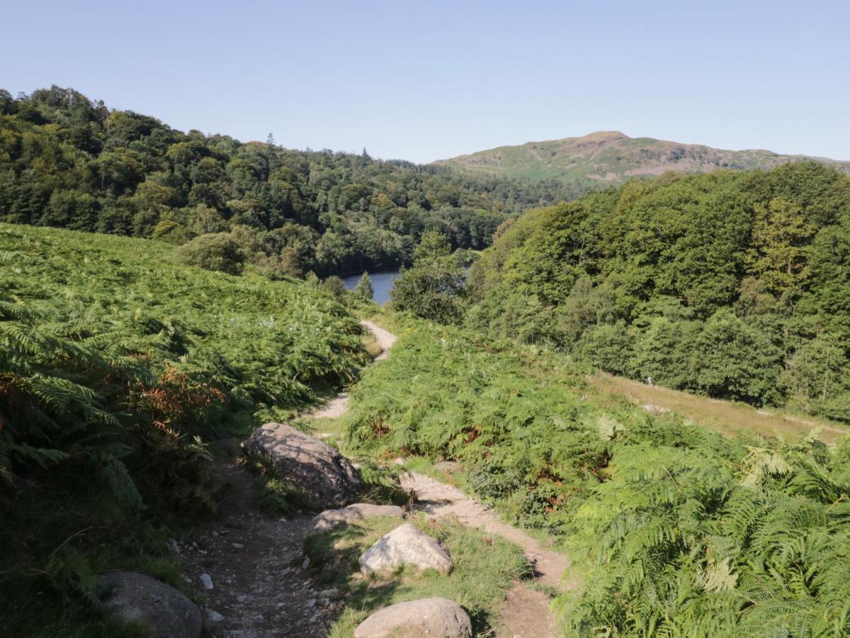 Rothay 17 *